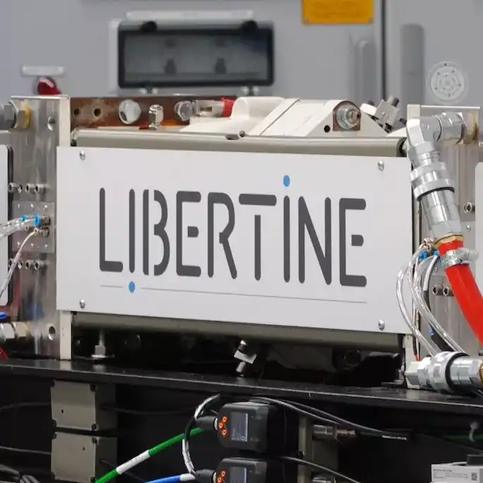 Libertine Logo