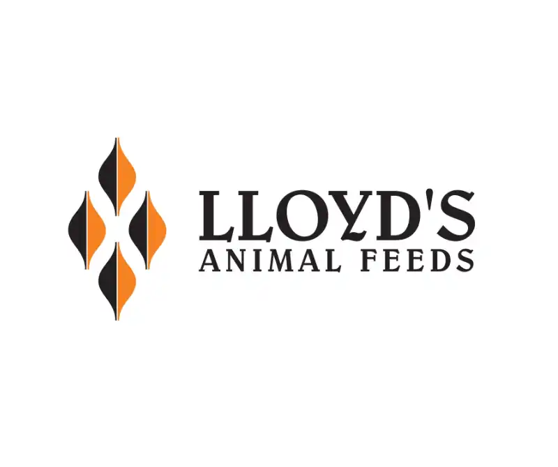 Lloyds